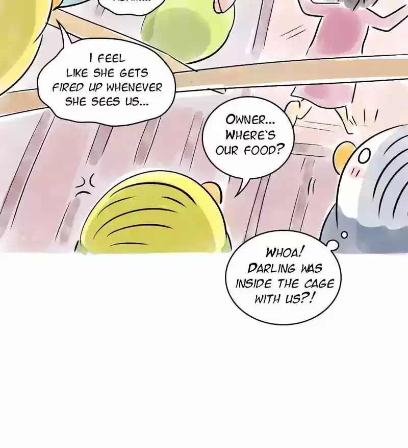 A Budgie's Life Chapter 110: Ep.110: