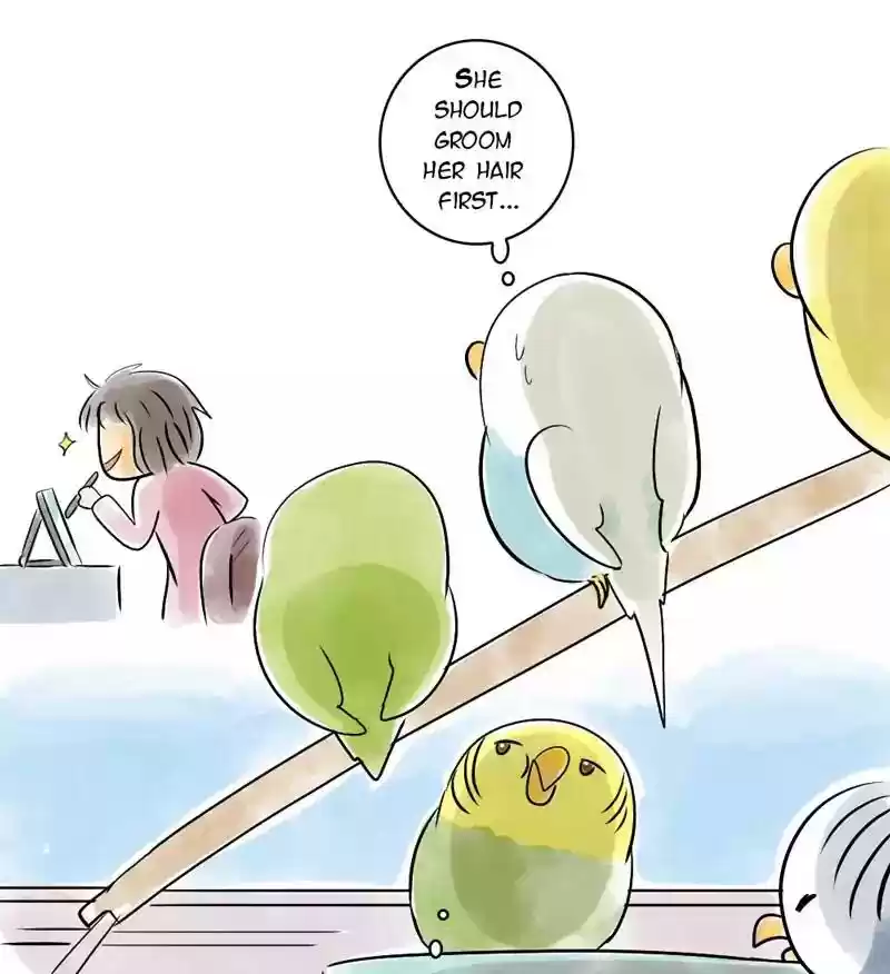 A Budgie's Life Chapter 110: Ep.110: