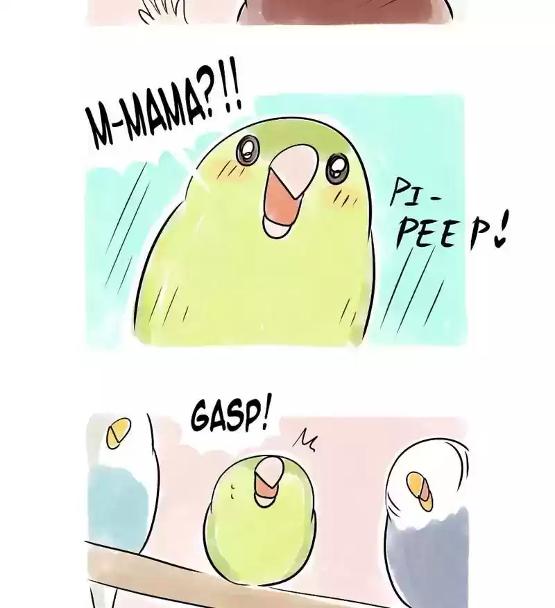 A Budgie's Life Chapter 110: Ep.110: