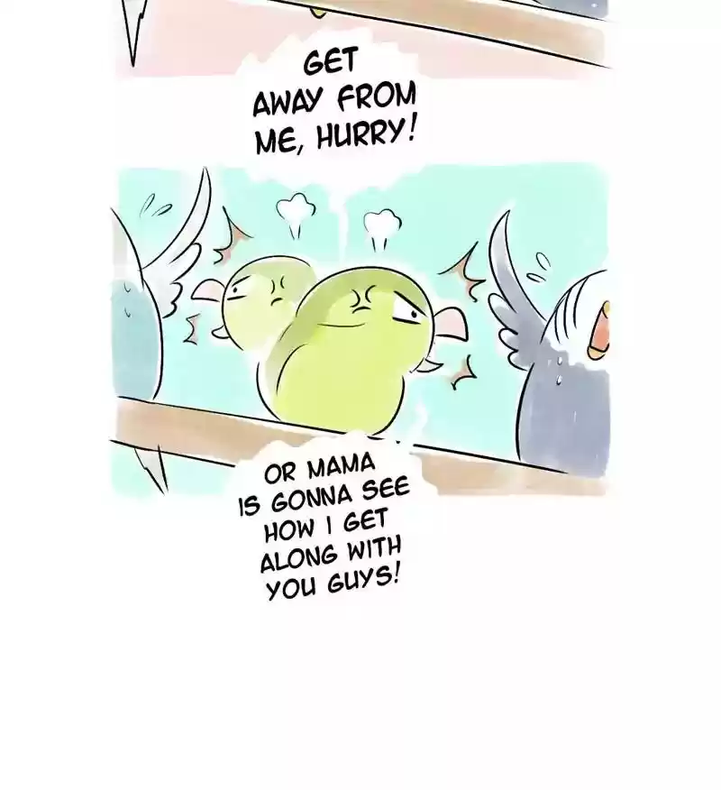 A Budgie's Life Chapter 110: Ep.110: