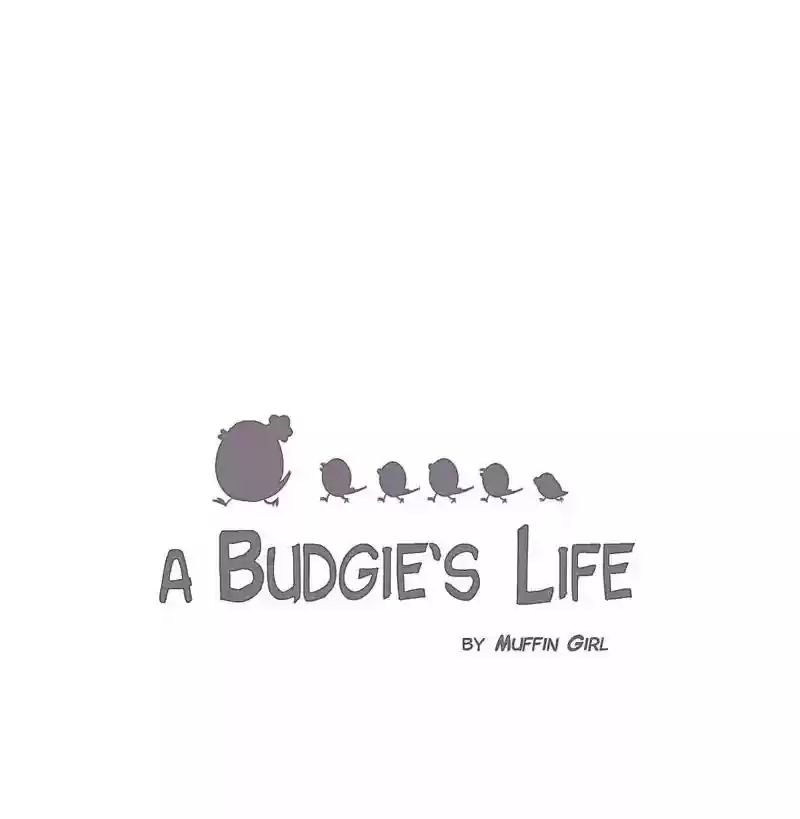 A Budgie's Life Chapter 111: Ep.111: