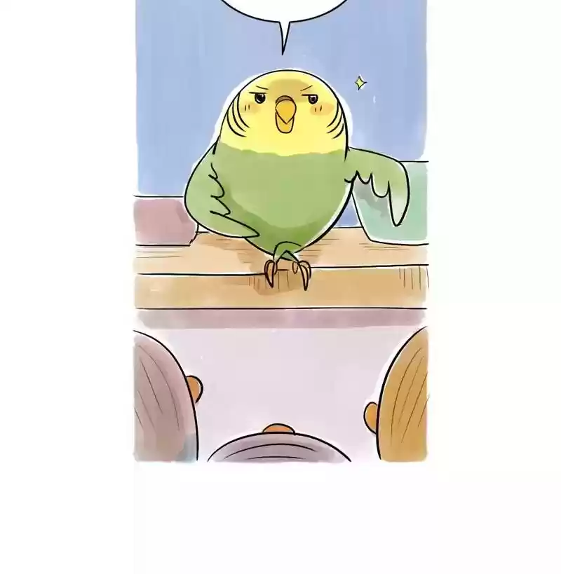 A Budgie's Life Chapter 111: Ep.111: