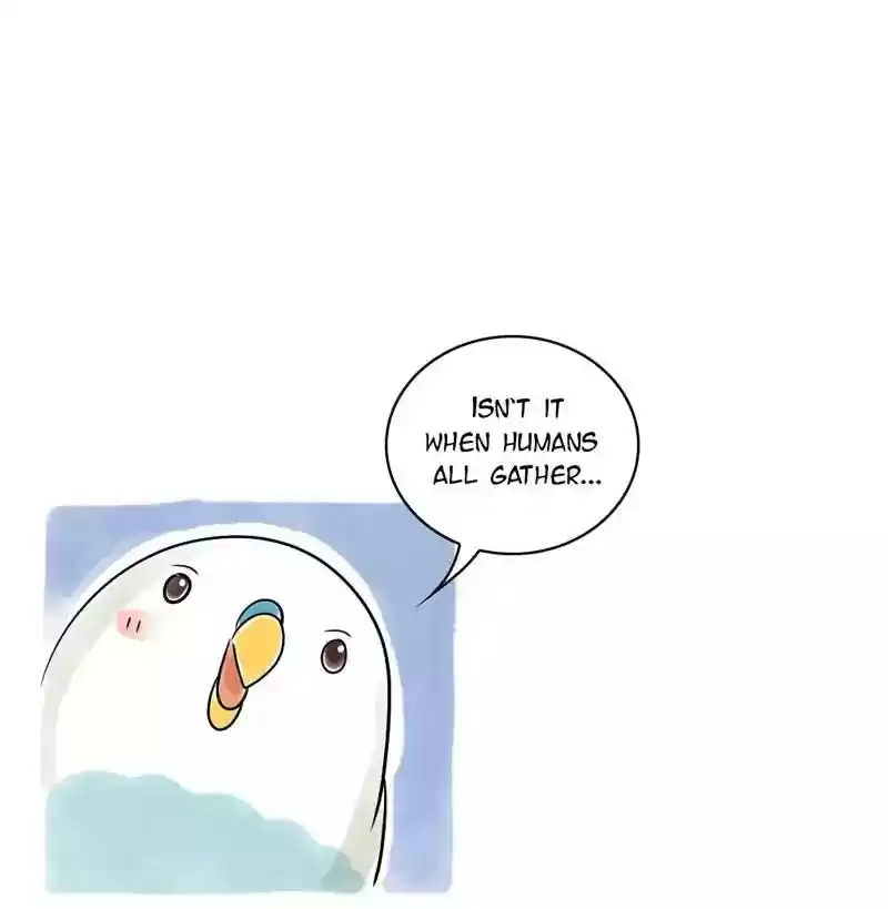 A Budgie's Life Chapter 111: Ep.111: