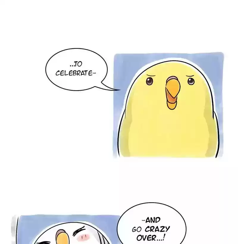 A Budgie's Life Chapter 111: Ep.111: