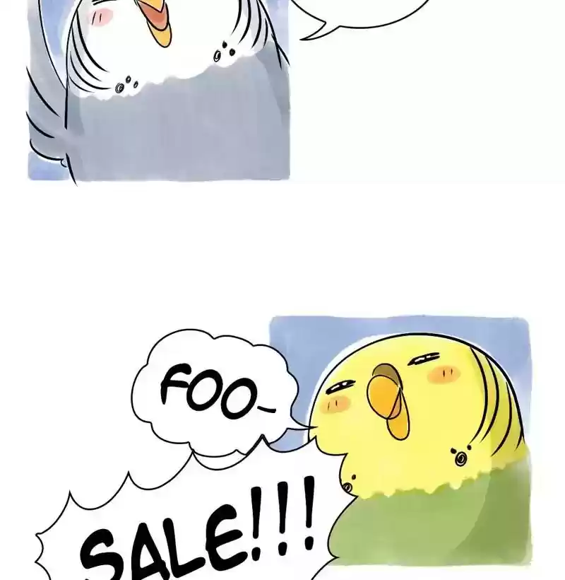 A Budgie's Life Chapter 111: Ep.111: