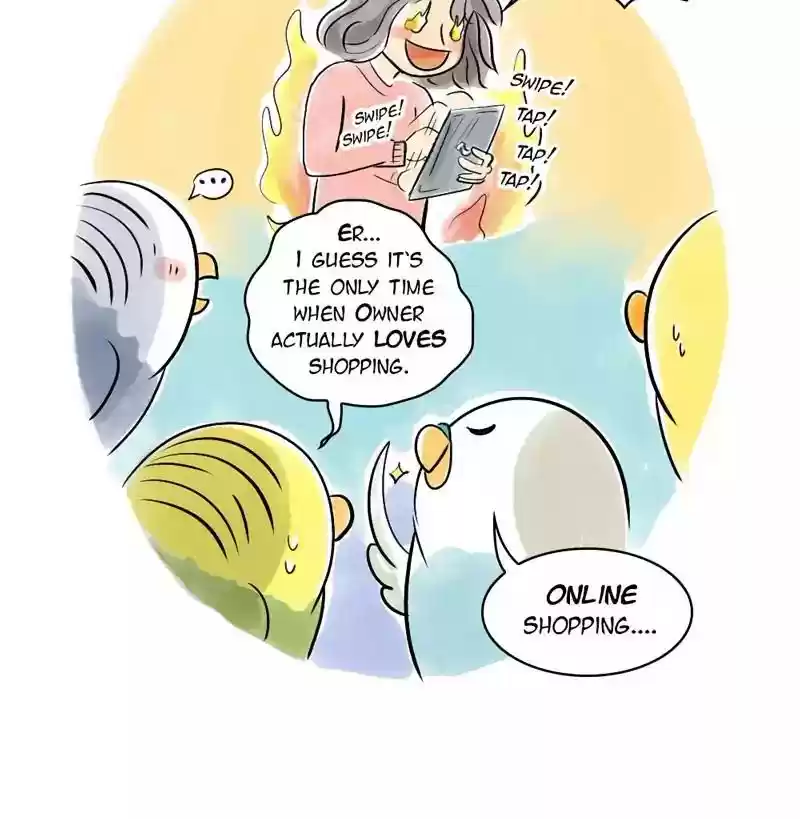 A Budgie's Life Chapter 111: Ep.111: