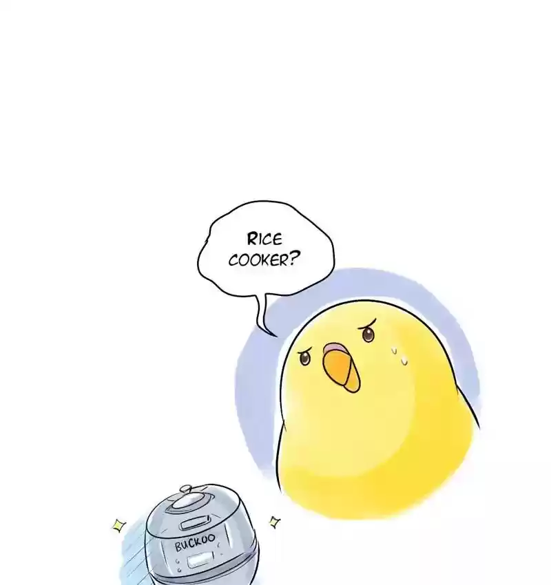 A Budgie's Life Chapter 111: Ep.111: