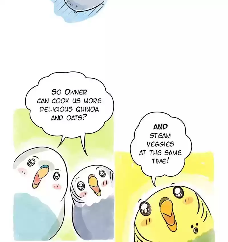 A Budgie's Life Chapter 111: Ep.111:
