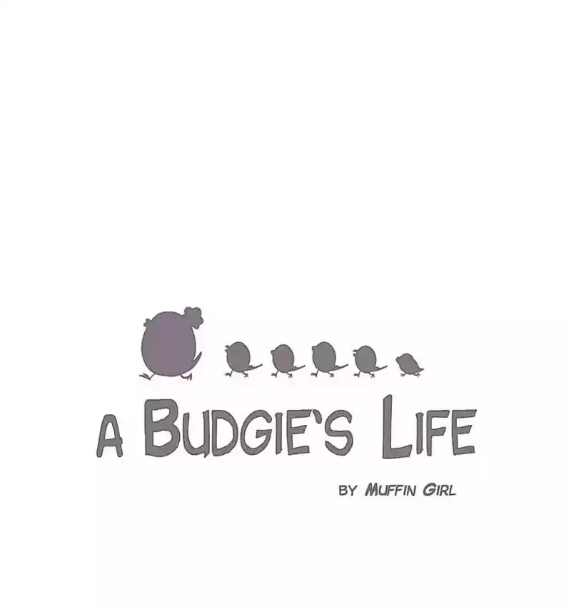 A Budgie's Life Chapter 112: Ep.112: