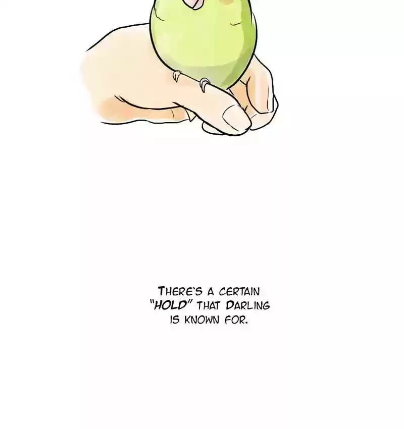 A Budgie's Life Chapter 112: Ep.112: