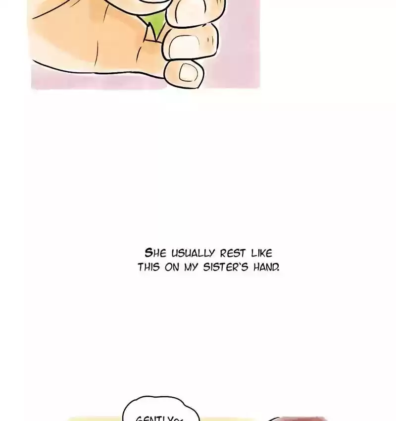 A Budgie's Life Chapter 112: Ep.112: