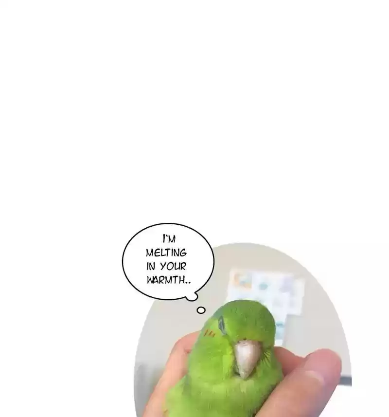 A Budgie's Life Chapter 112: Ep.112:
