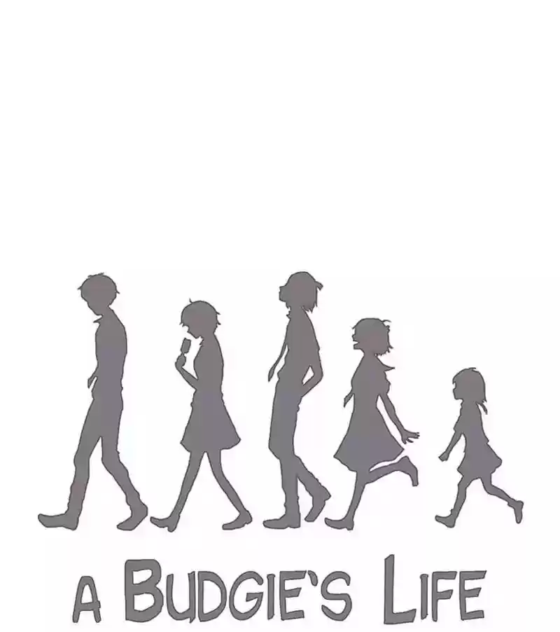 A Budgie's Life Chapter 113: Ep.113: