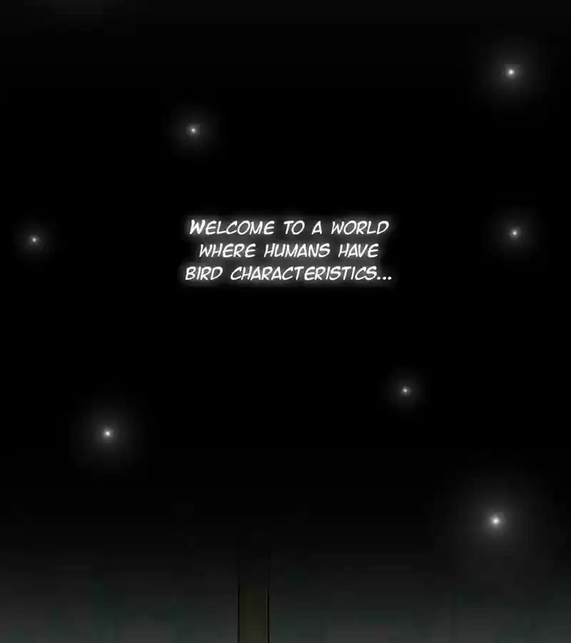 A Budgie's Life Chapter 113: Ep.113: