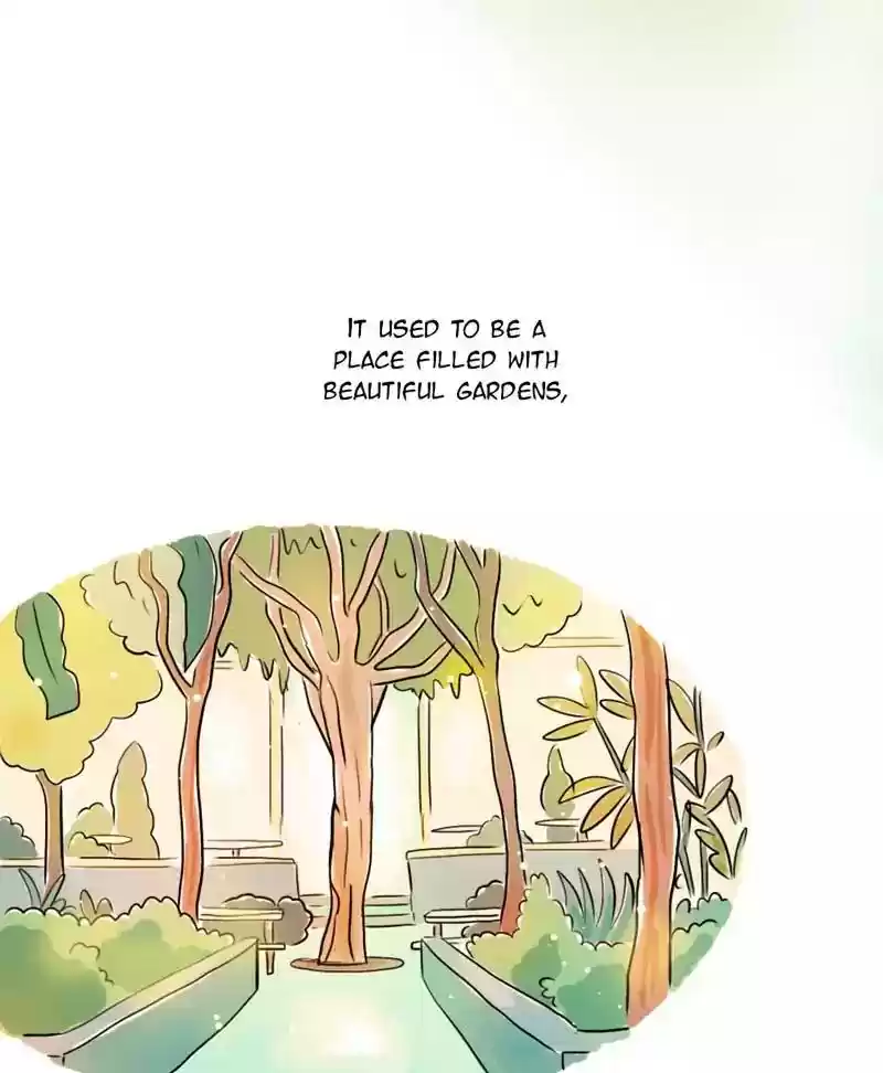 A Budgie's Life Chapter 113: Ep.113: