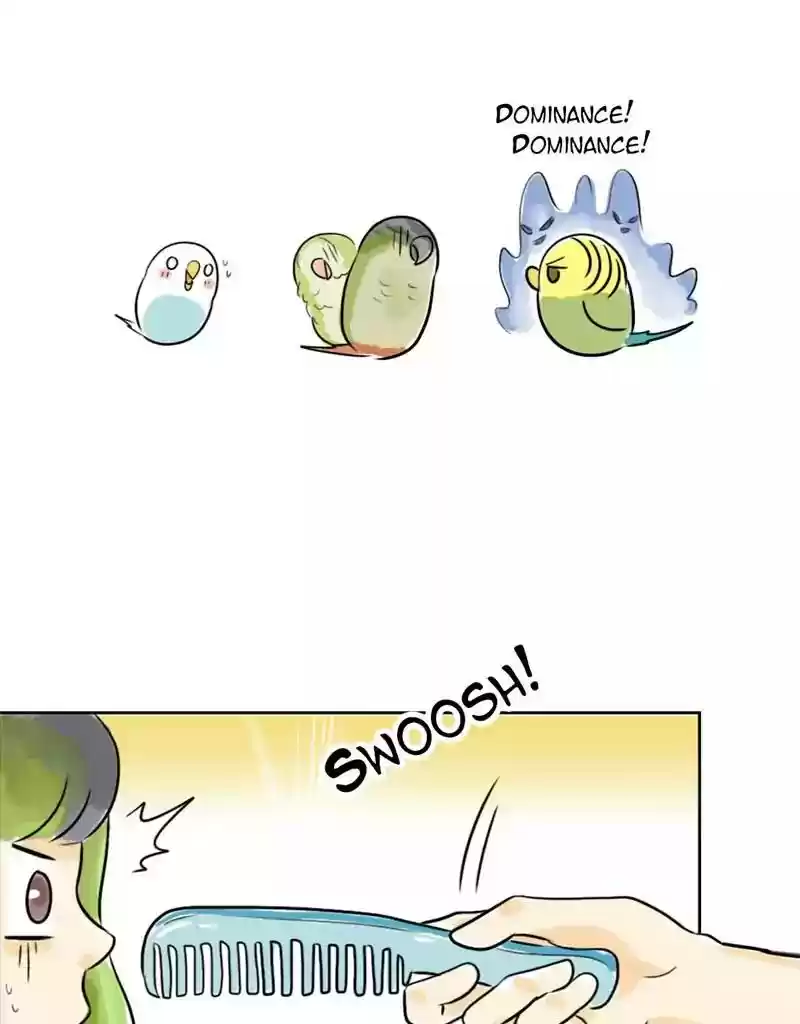 A Budgie's Life Chapter 113: Ep.113:
