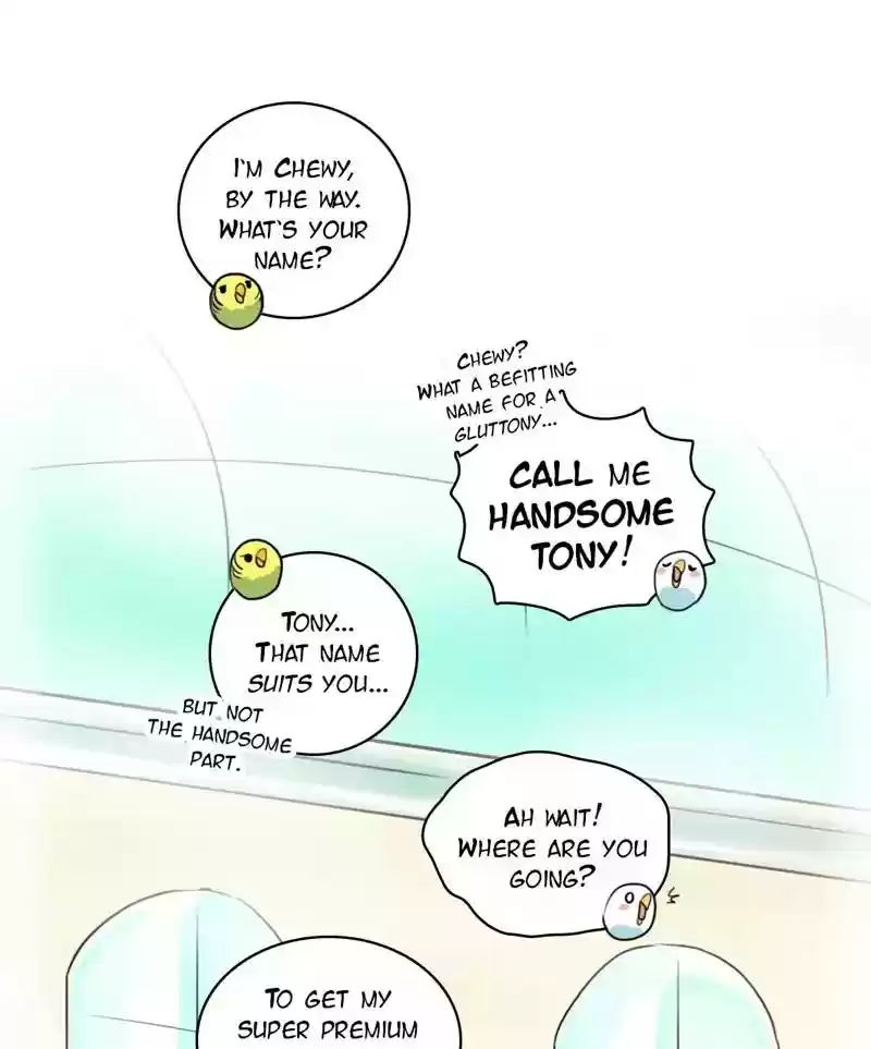 A Budgie's Life Chapter 113: Ep.113: