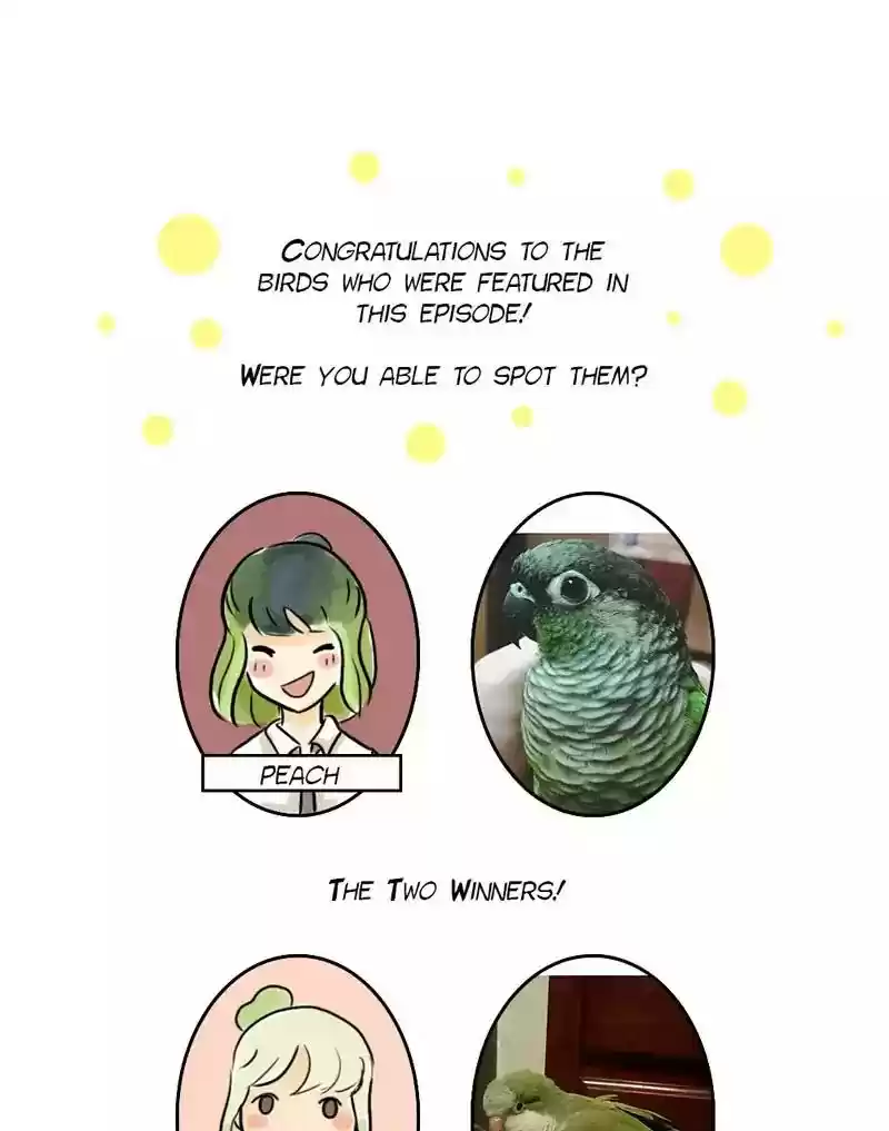 A Budgie's Life Chapter 113: Ep.113: