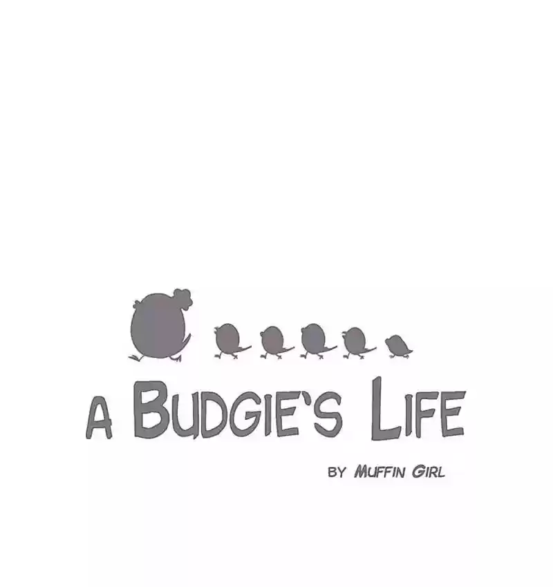 A Budgie's Life Chapter 114: Ep.114: