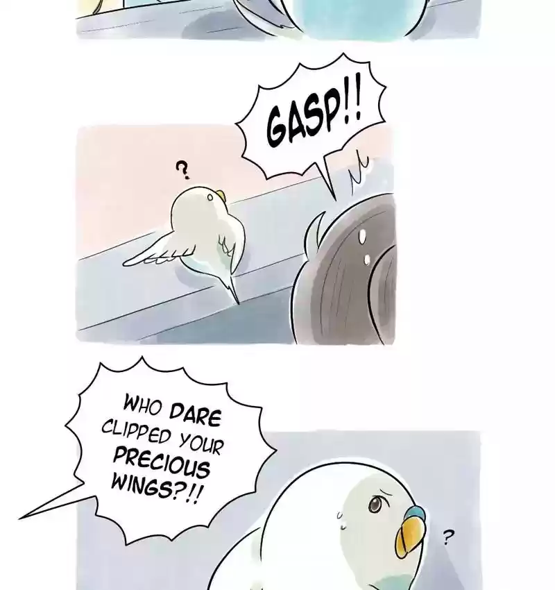 A Budgie's Life Chapter 114: Ep.114: