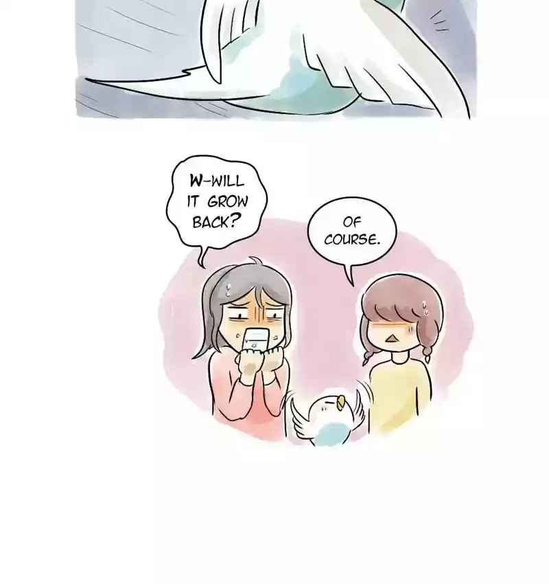 A Budgie's Life Chapter 114: Ep.114: