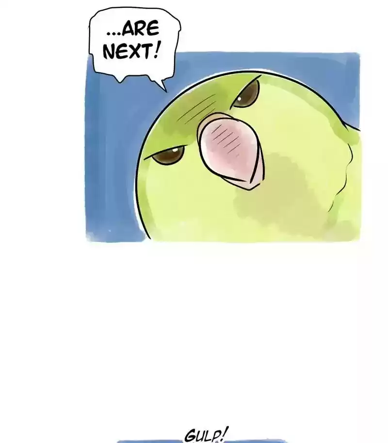 A Budgie's Life Chapter 114: Ep.114: