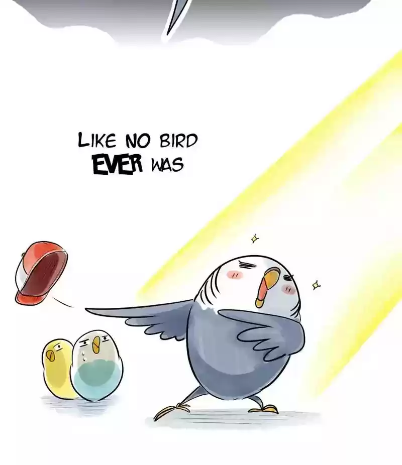 A Budgie's Life Chapter 115: Ep.115: