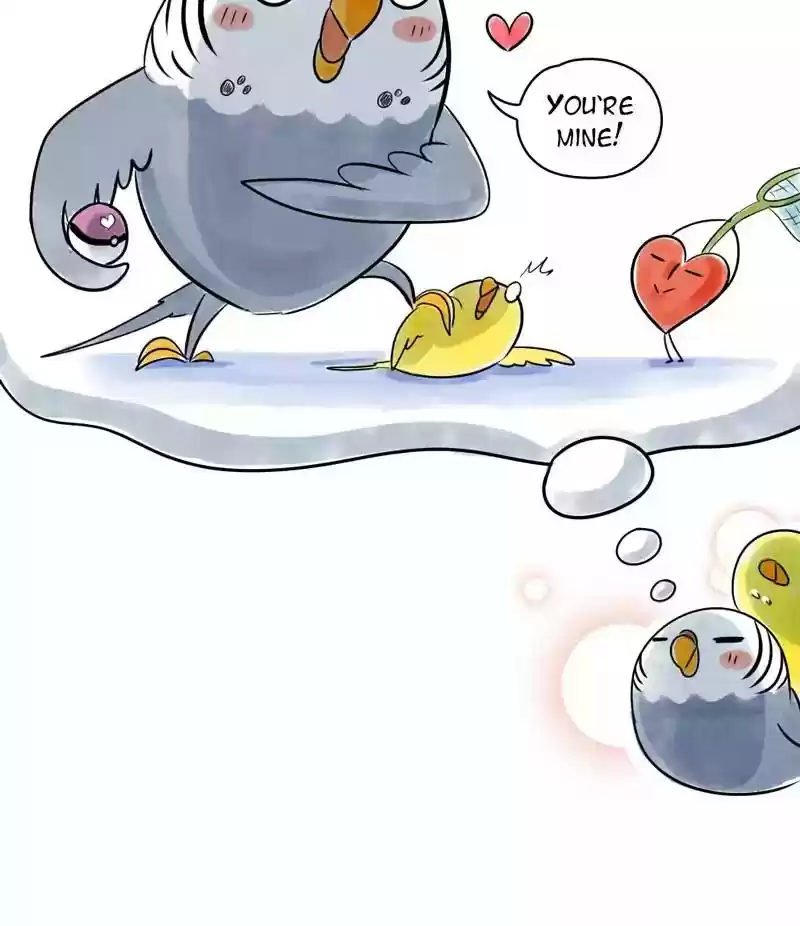 A Budgie's Life Chapter 115: Ep.115: