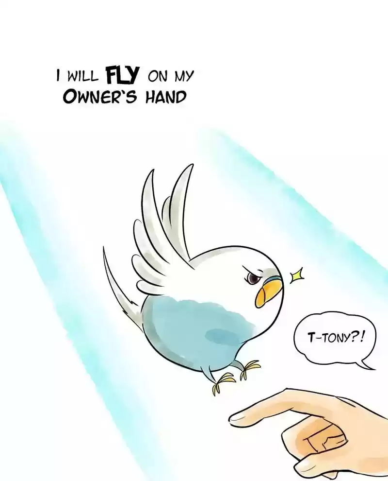 A Budgie's Life Chapter 115: Ep.115: