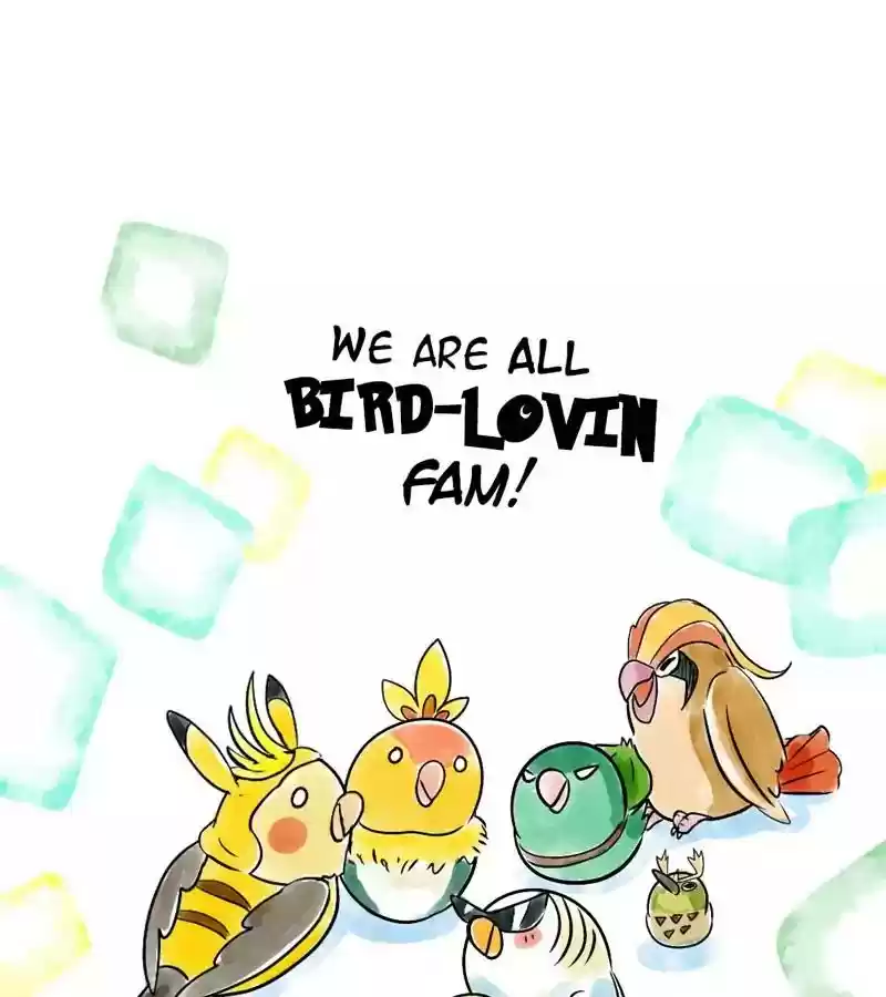 A Budgie's Life Chapter 115: Ep.115: