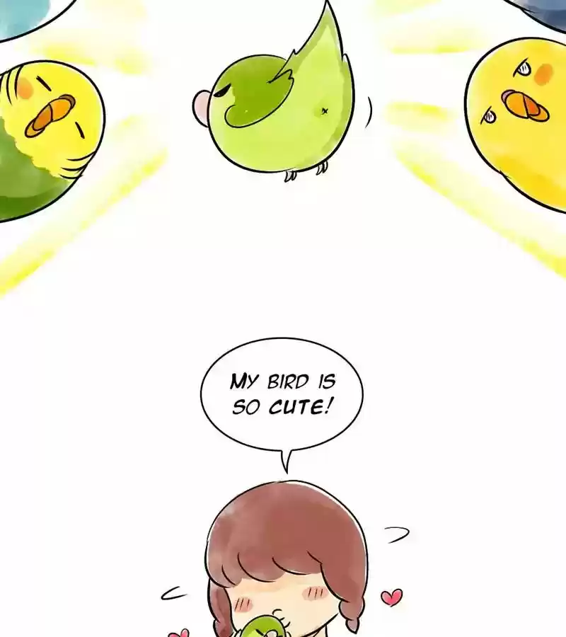 A Budgie's Life Chapter 115: Ep.115: