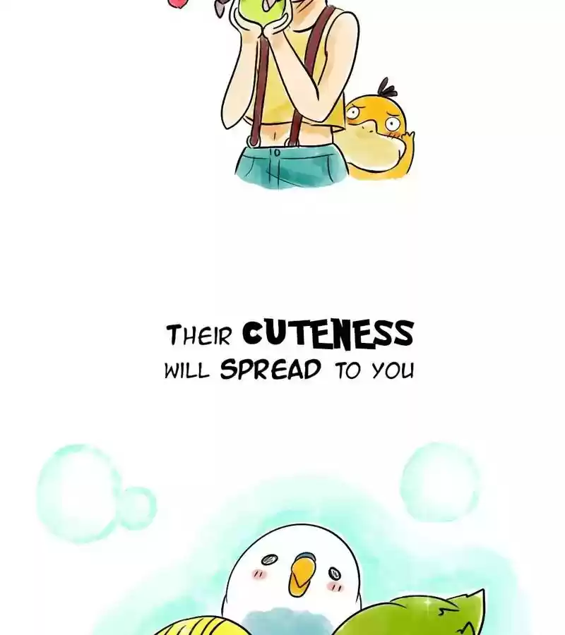 A Budgie's Life Chapter 115: Ep.115: