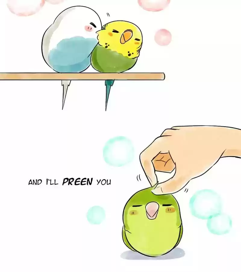 A Budgie's Life Chapter 115: Ep.115: