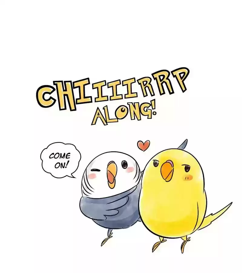 A Budgie's Life Chapter 115: Ep.115: