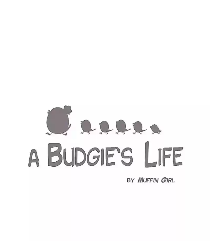 A Budgie's Life Chapter 116: Ep.116: