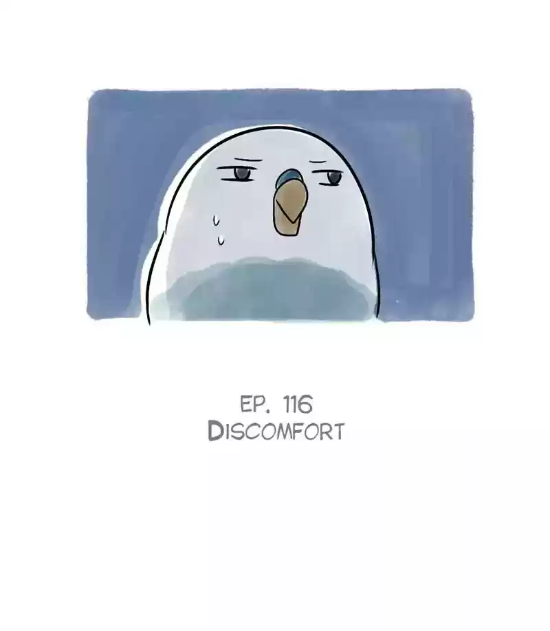 A Budgie's Life Chapter 116: Ep.116: