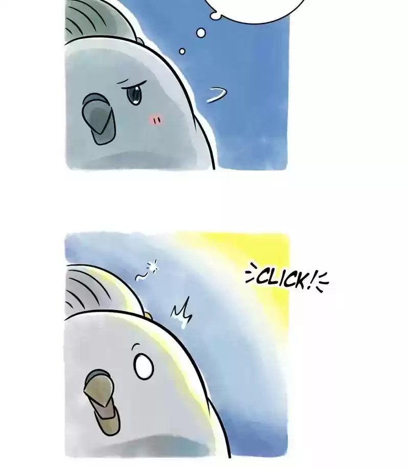 A Budgie's Life Chapter 116: Ep.116: