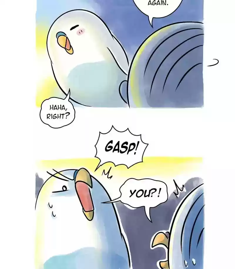 A Budgie's Life Chapter 116: Ep.116:
