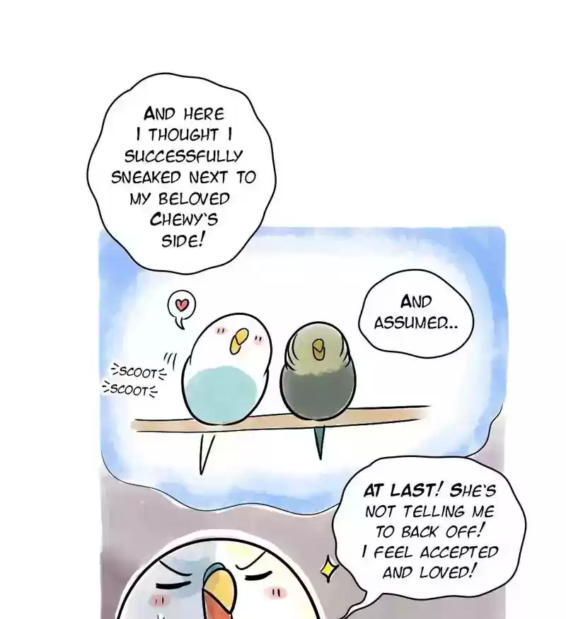 A Budgie's Life Chapter 116: Ep.116: