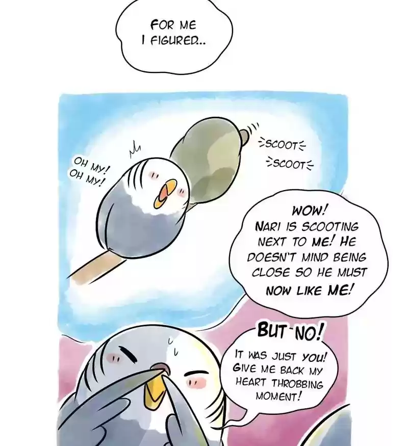 A Budgie's Life Chapter 116: Ep.116:
