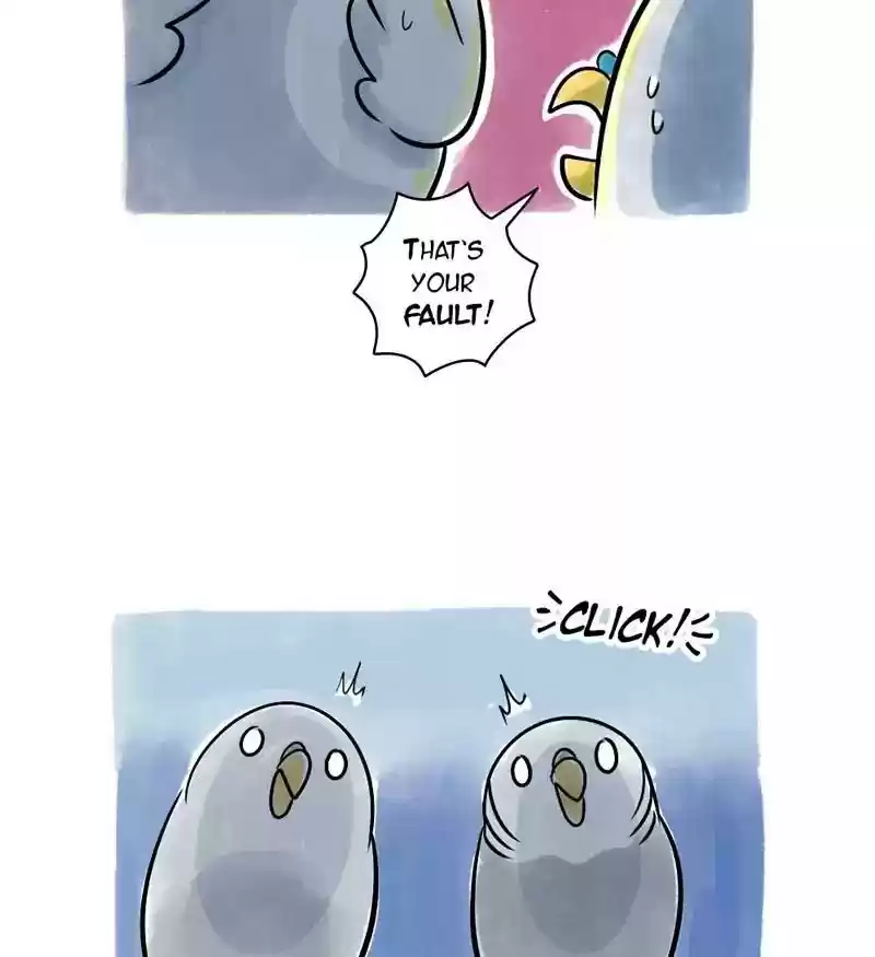 A Budgie's Life Chapter 116: Ep.116: