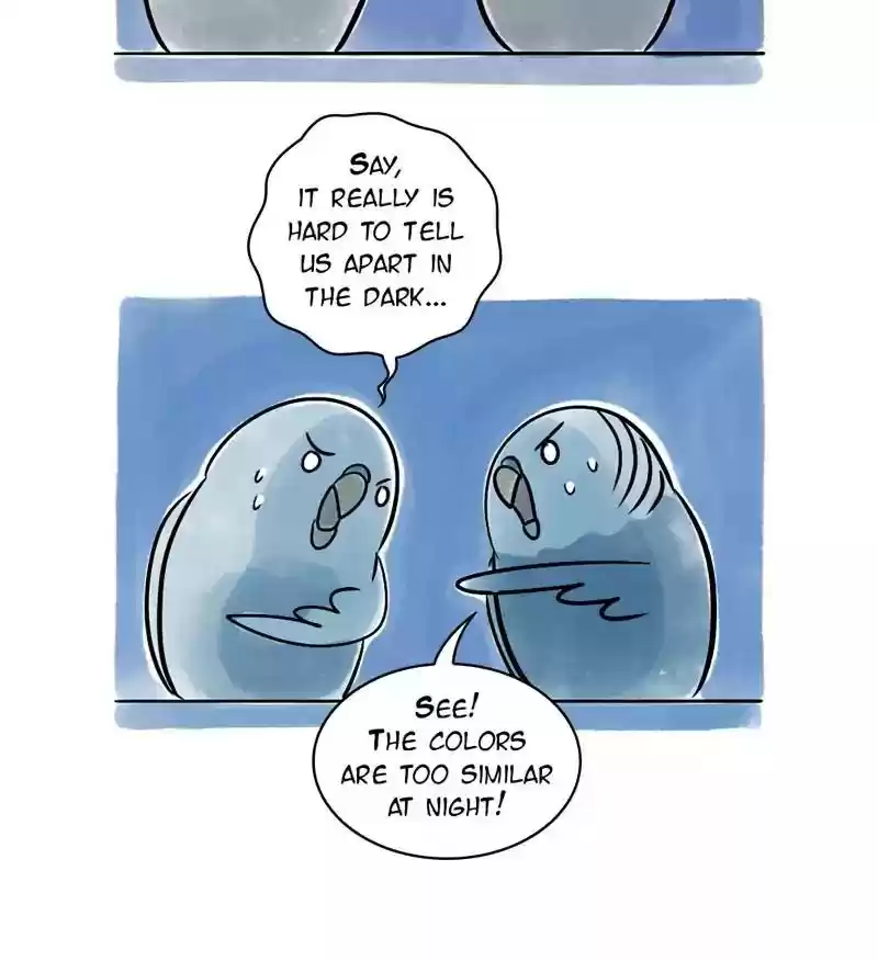 A Budgie's Life Chapter 116: Ep.116: