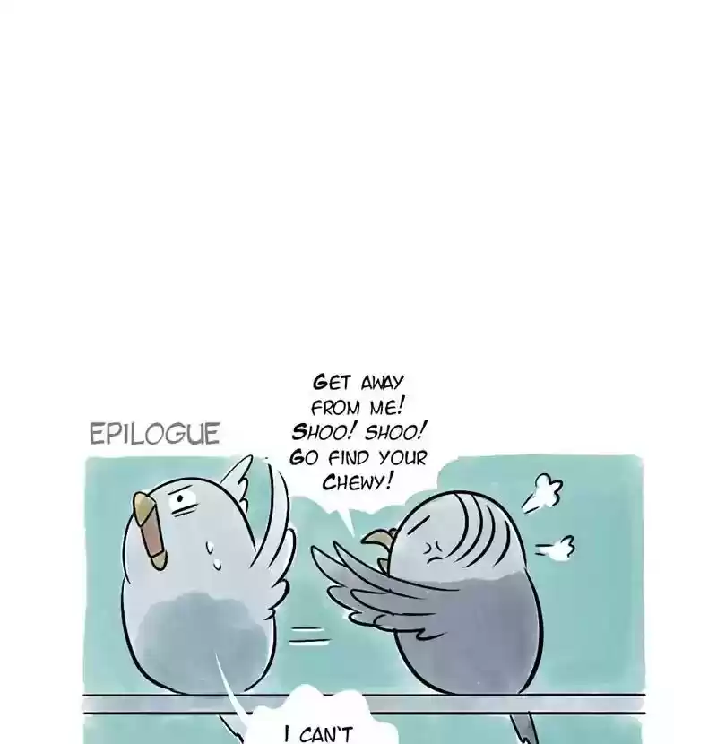 A Budgie's Life Chapter 116: Ep.116: