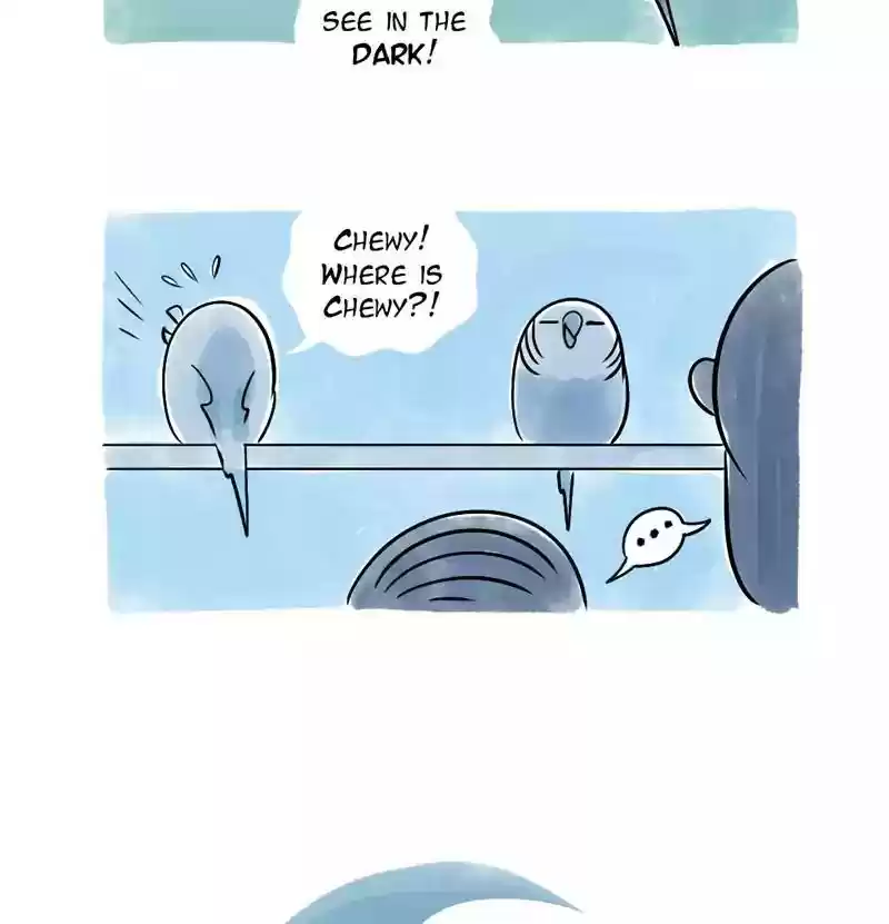 A Budgie's Life Chapter 116: Ep.116: