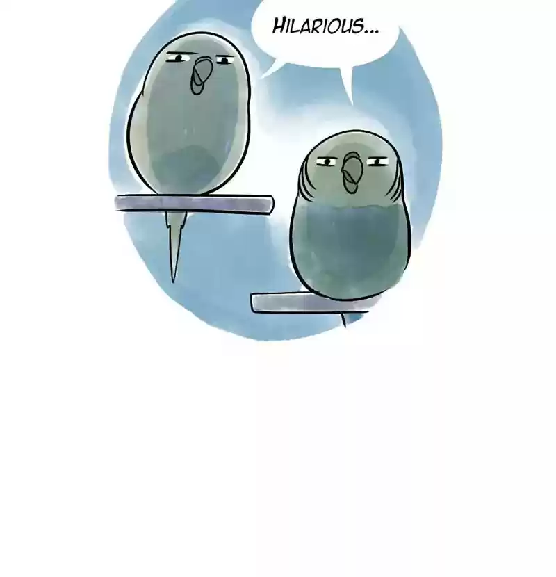 A Budgie's Life Chapter 116: Ep.116: