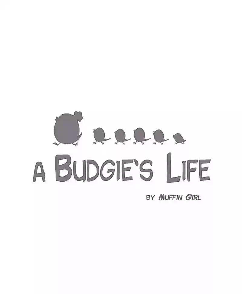 A Budgie's Life Chapter 117: Ep.117: