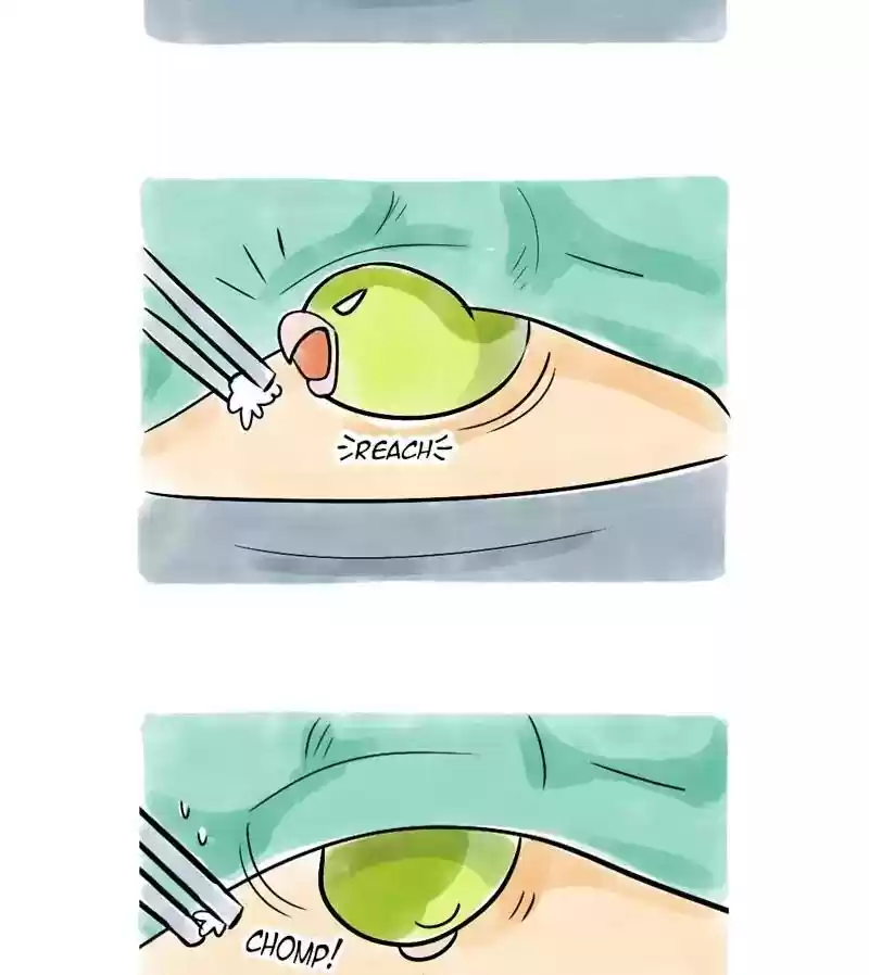 A Budgie's Life Chapter 117: Ep.117: