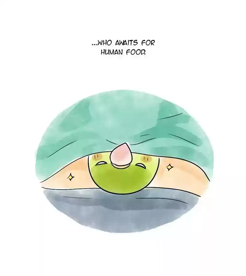 A Budgie's Life Chapter 117: Ep.117: