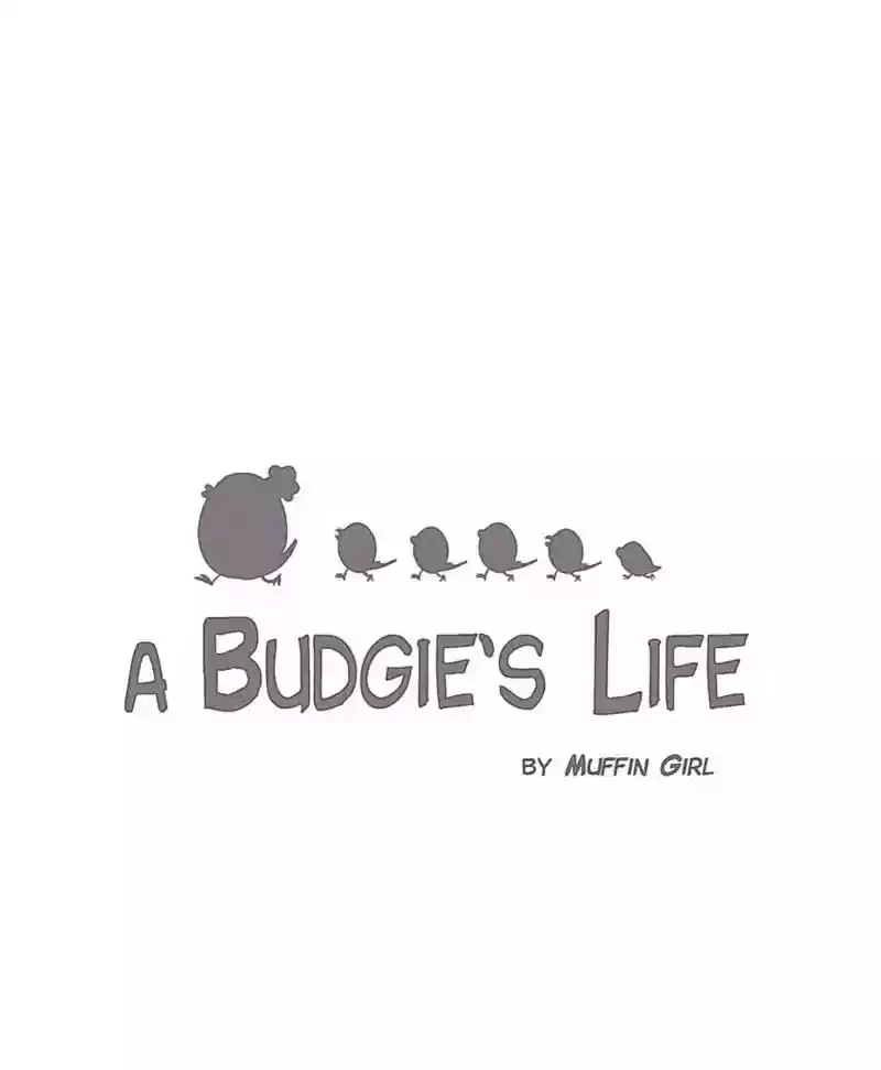 A Budgie's Life Chapter 118: Ep.118: