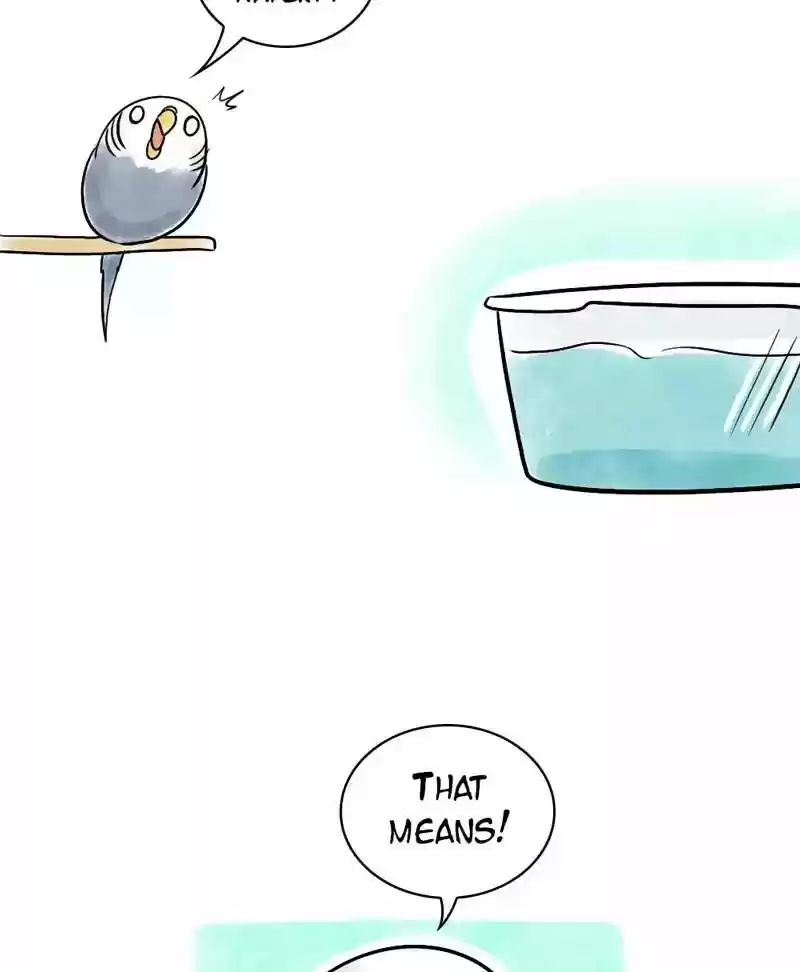 A Budgie's Life Chapter 118: Ep.118: